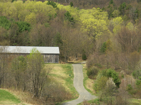 First Spring Morning