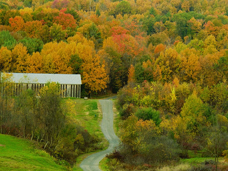 Patchwork Autumn