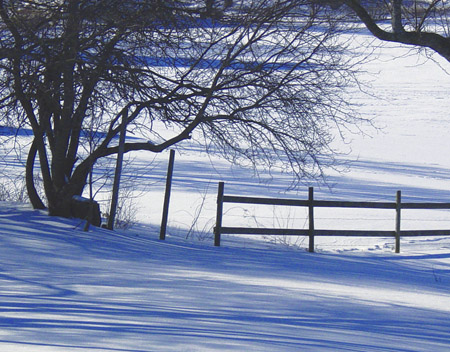 Snow Shadows