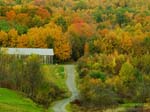 Patchwork Autumn